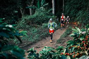 BIB: 
                            <button type="button" onclick="openModal(25830558)" class="btn btn-primary btn-sm float-right btn-popup" data-toggle="modal" data-target=".modal-high-quality">
                        <i class="fas fa-shopping-cart"></i> Add to Cart
                    </button>
                                            <button type="button" onclick="isThisMe(25830558, true)" class="btn btn-success btn-sm float-right btn-popup btn-isme hidden" data-toggle="tooltip" data-placement="bottom" title="นี่คือรูปของคุณใช่ไหม คลิกที่นี่เพื่อเอาเข้าอัลบั้ม">
                        <i class="fas fa-plus"></i> Add to album
                    </button>
                    <button type="button" onclick="isThisMe(25830558, false)" class="btn btn-warning btn-sm float-right btn-popup btn-isnotme hidden">
                        <i class="fas fa-ban"></i> Remove from album
                    </button>